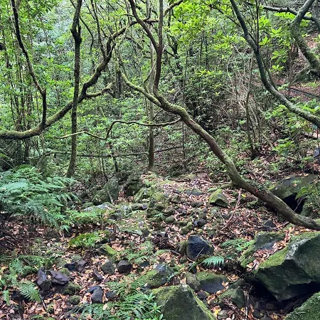 Elysium - Designer With Ocean View, Heated Pool, Jacuzzi & Sauna São Vicente