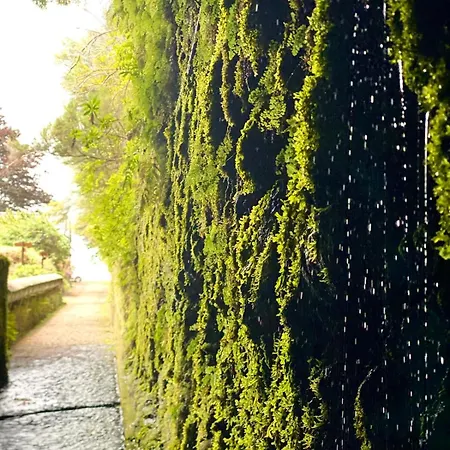 فيلة Elysium - Designer With Ocean View, Heated Pool, Jacuzzi & Sauna